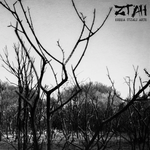 Ztah : Errea Itzali Arte